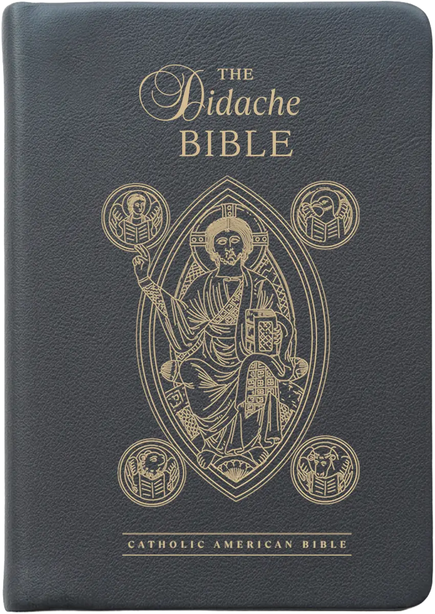 The Didache Bible (CAB), Flex Leather