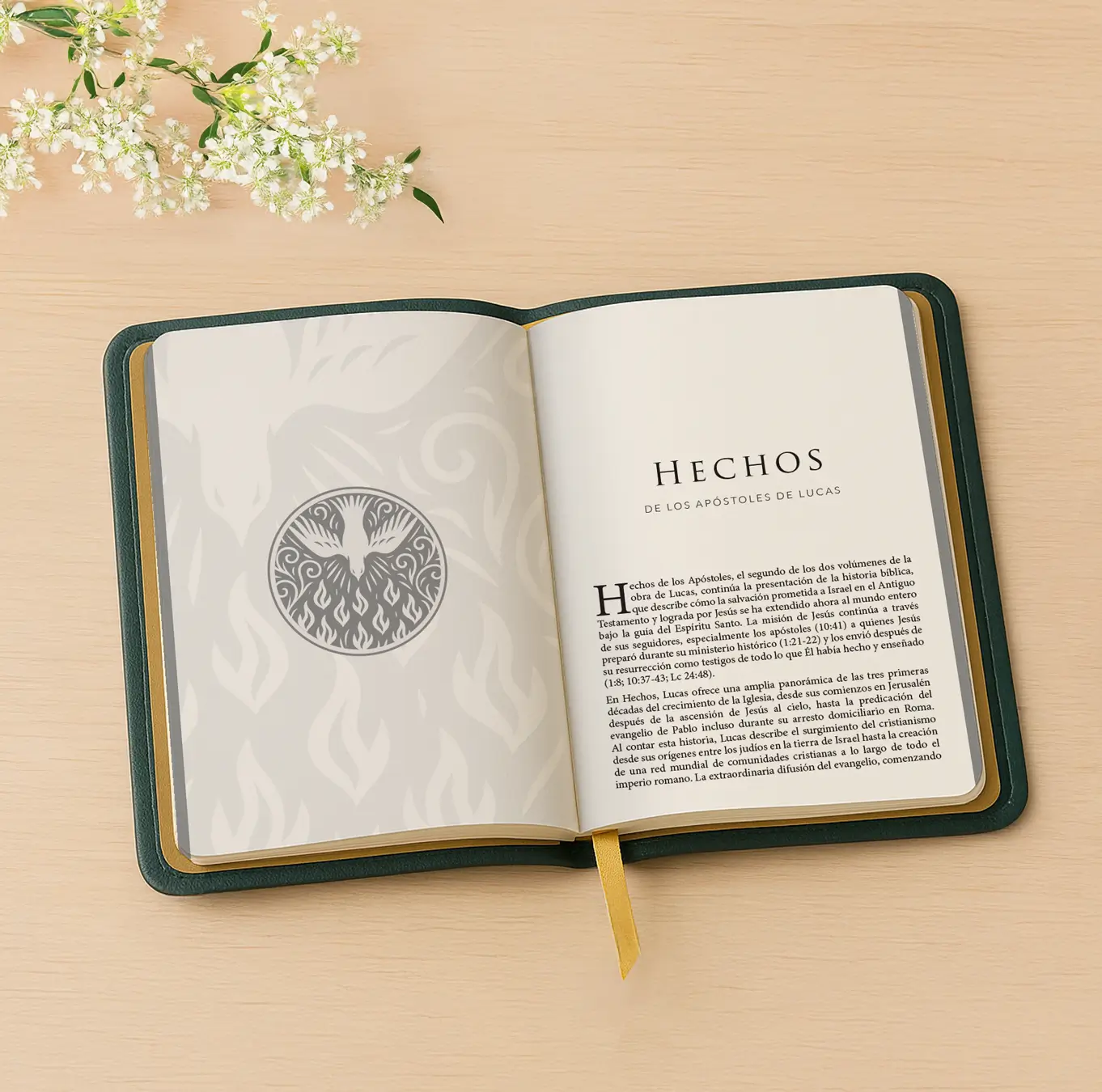 Nuevo Testamento Open Book Nuevo Testamento Open Book