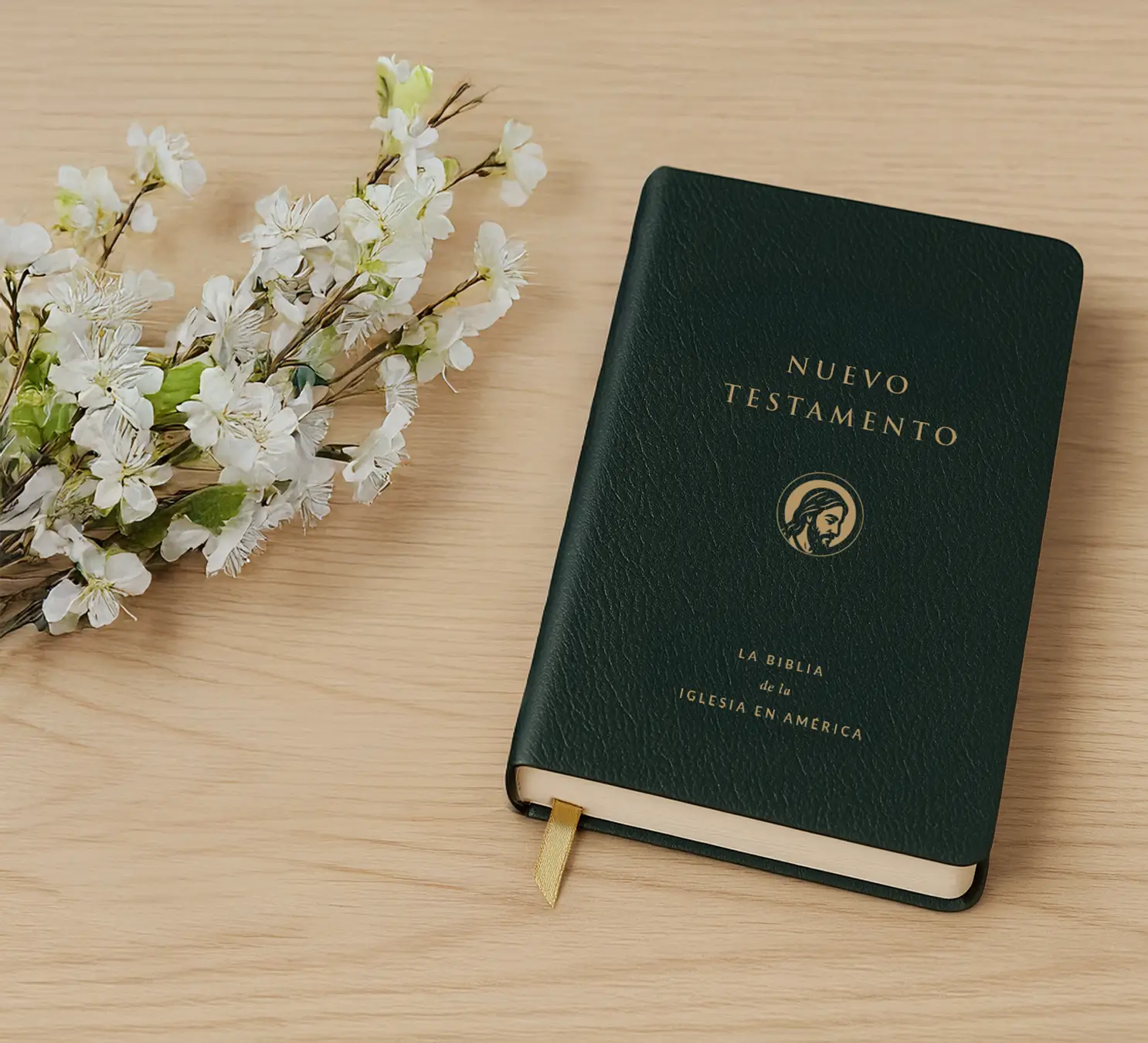 Nuevo Testamento Square Nuevo Testamento Book