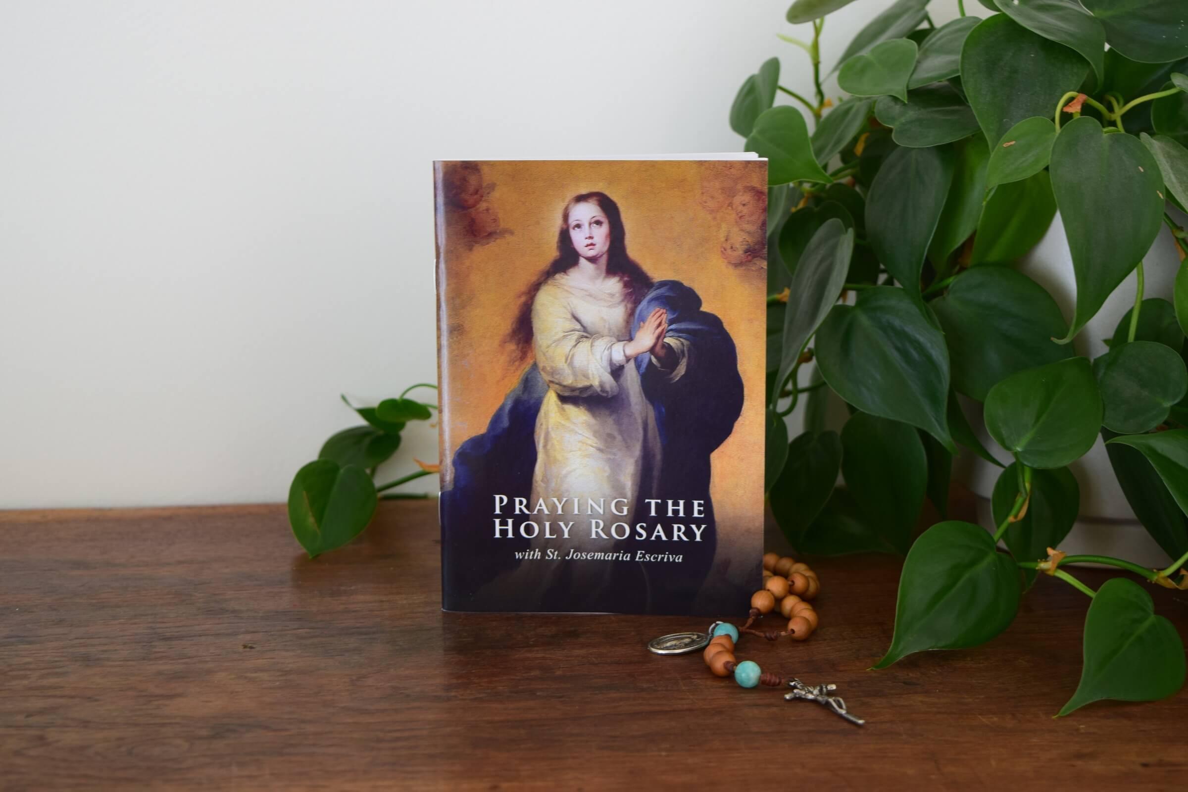 praying-the-rosary-photo Praying the Rosary photo